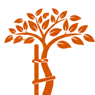 Orthopädie Icon